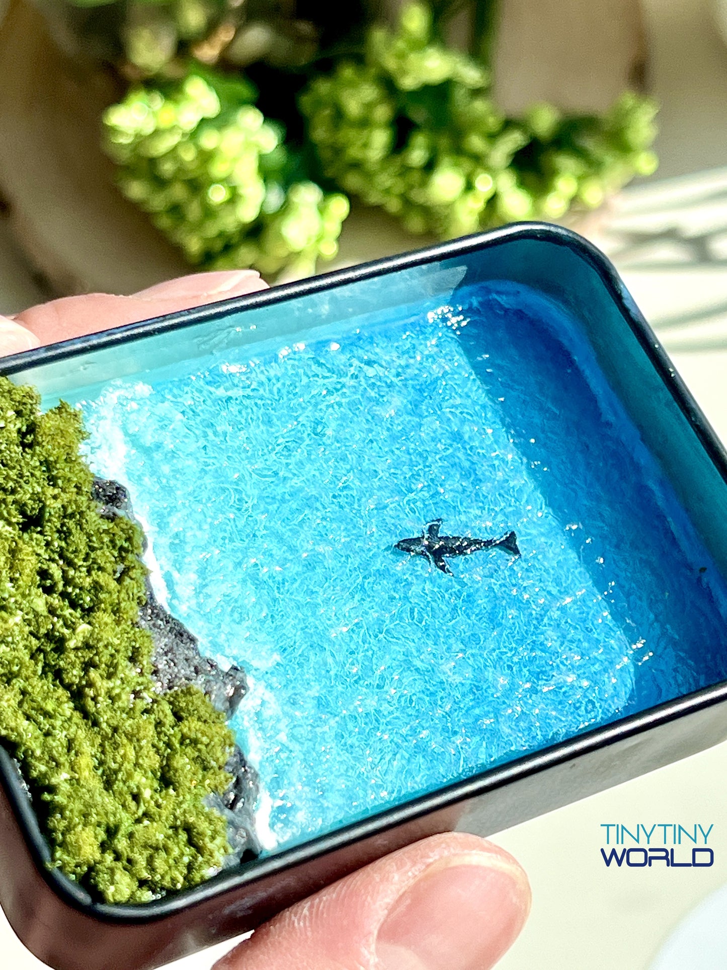 The Coast in the Box Miniature Epoxy Resin Art Ocean Whale Hand-made Gift