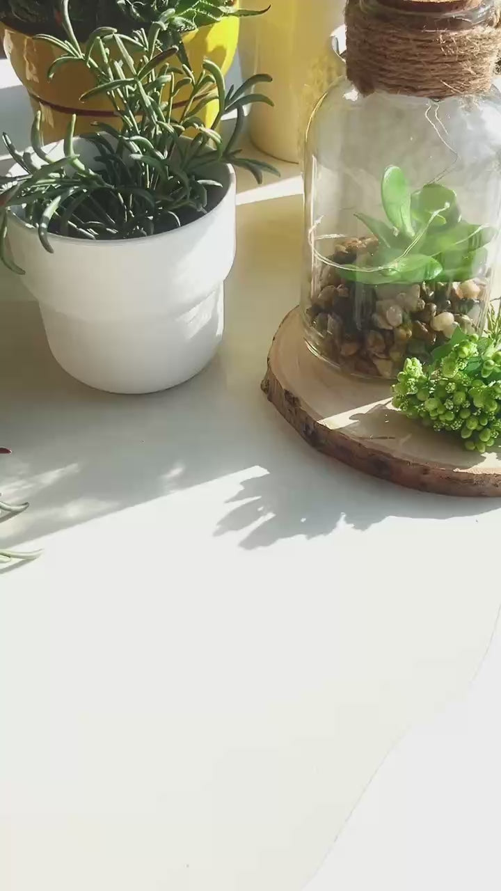 The Island in the Oyster Shell Miniature Epoxy Resin Art Ocean Display Hand-made Gift