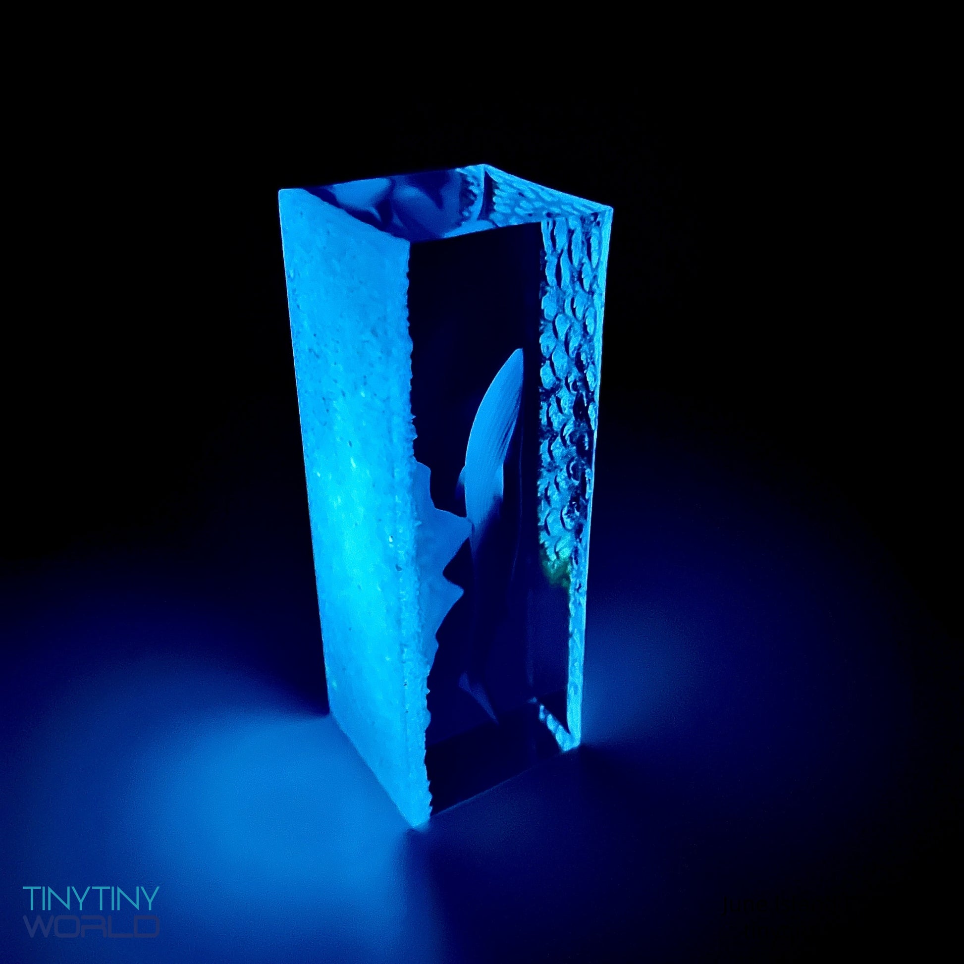Whale Miniature Resin Epoxy Art Ocean  Night Light Display Handcraft Unique Present Decor