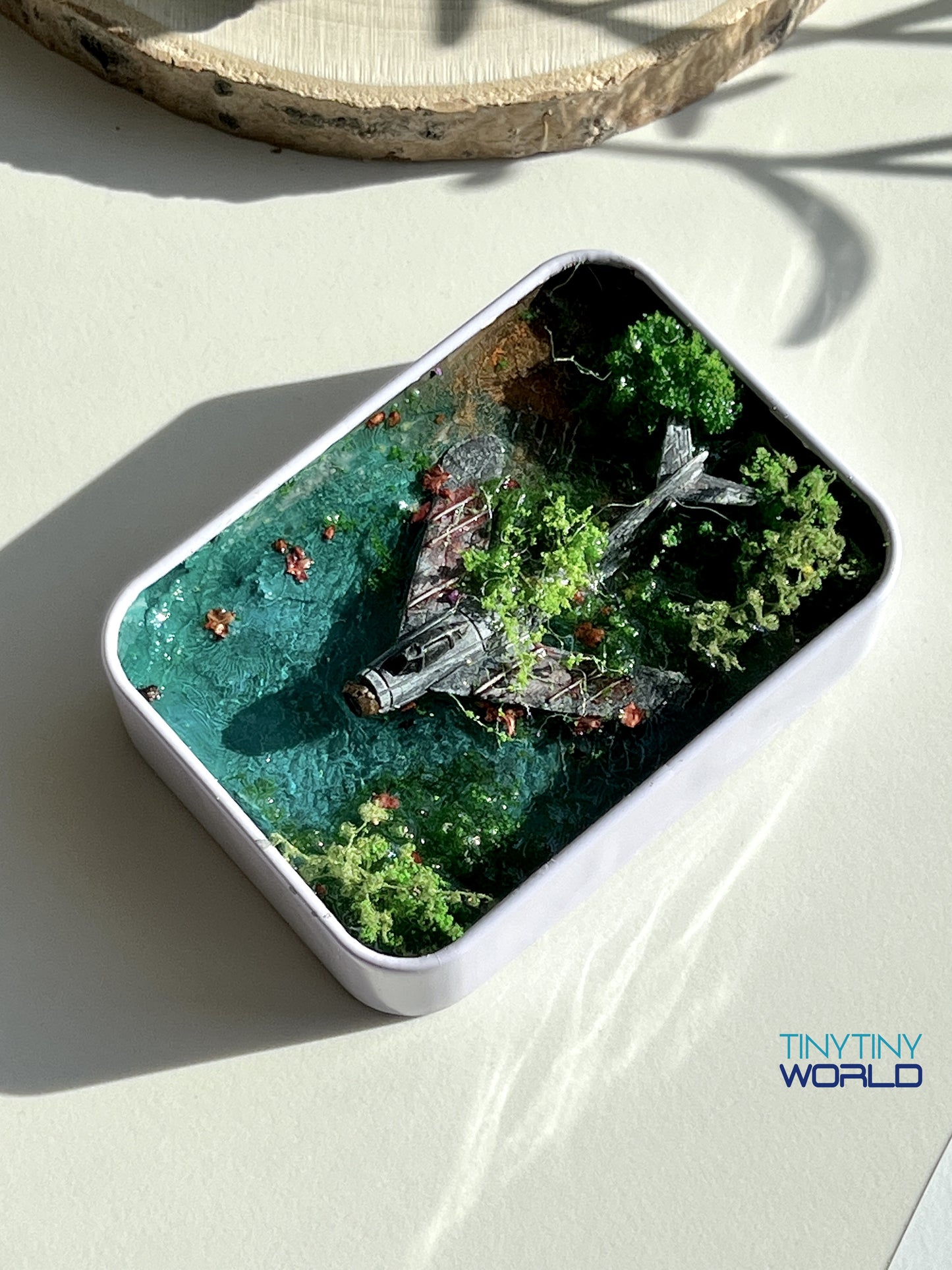 The Plane Realistic Miniature Epoxy Resin Art Ocean Display Hand-made Unique Gift