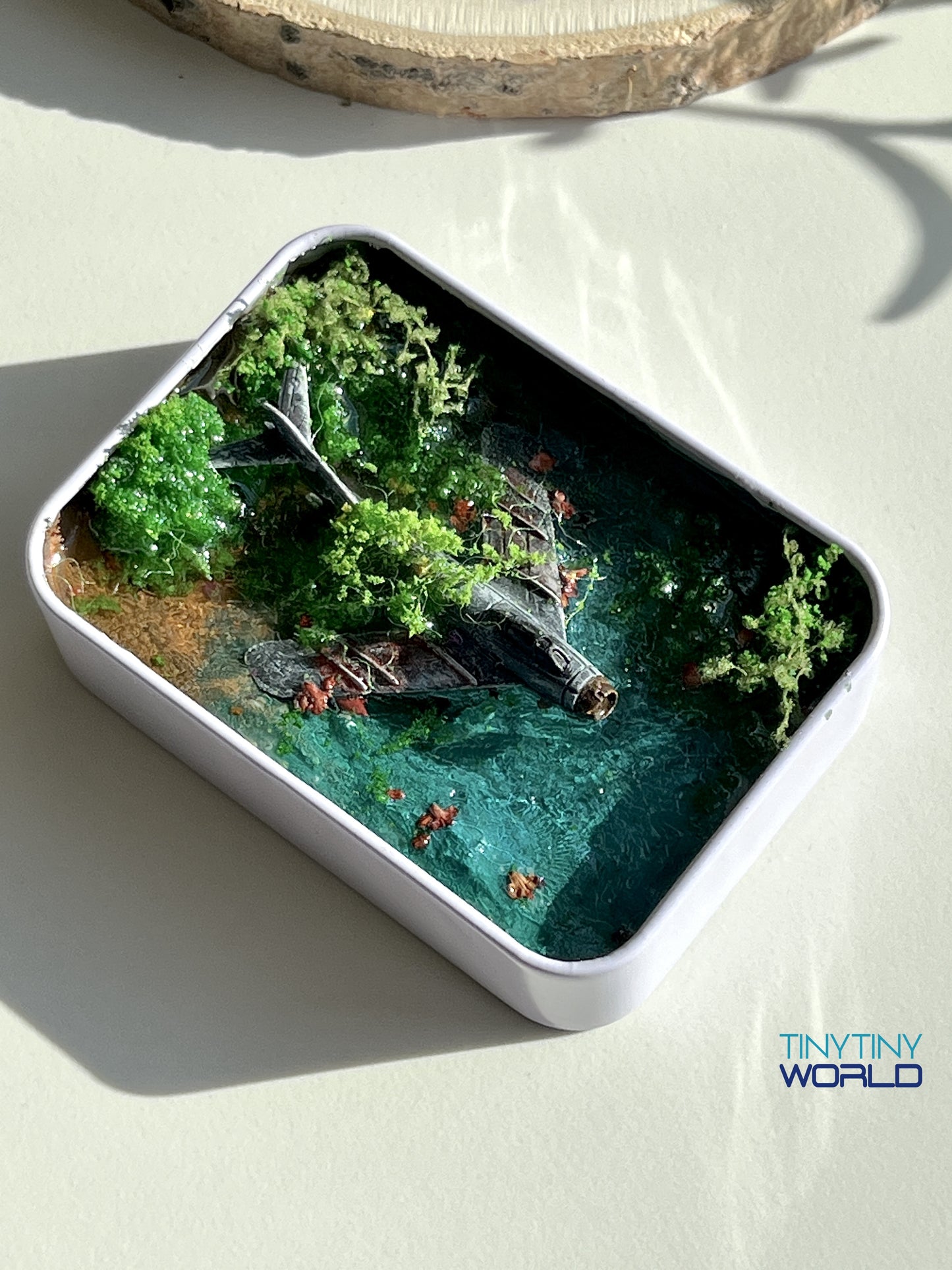The Plane Realistic Miniature Epoxy Resin Art Ocean Display Hand-made Unique Gift